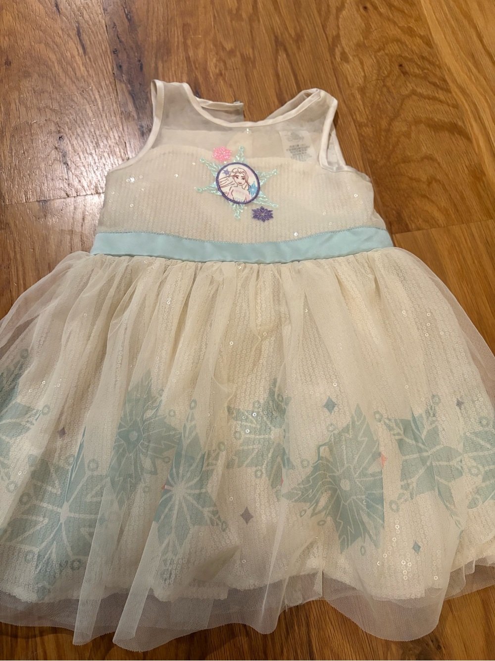 Disney Cream and Light Blue Elsa Tulle Party Dress